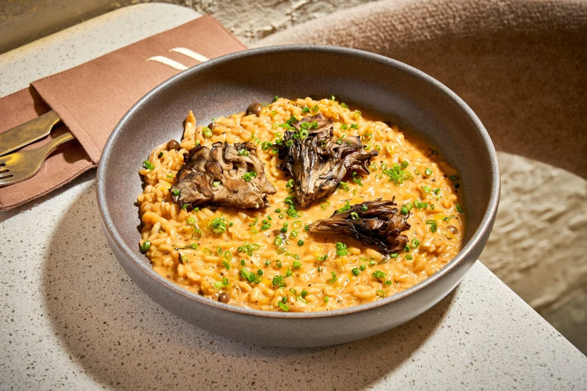 Risotto cu ragut de ciuperci si cremă de trufe